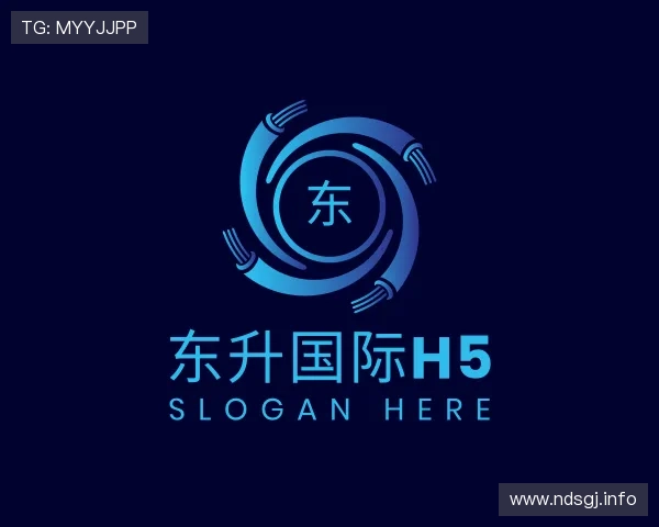 深入东升国际h5